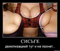 СИСЬГЕ демотивацией тут и не пахнет...