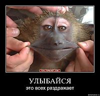 УЛЫБАЙСЯ это всех раздражает