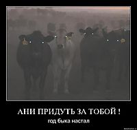 АНИ ПРИДУТЬ ЗА ТОБОЙ ! год быка настал