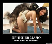 ПРИНЦЕВ МАЛО и на всех не хватает