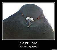 ХАРИЗМА такая харизма