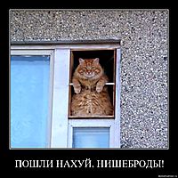 ПОШЛИ НАХУЙ, НИШЕБРОДЫ! 