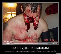 ТАК БУДЕТ С КАЖДЫМ кто запостит фото дохлого кота на демотивацию.ру! приду и лично череп разъебу!