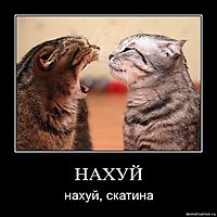 НАХУЙ нахуй, скатина