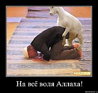 На всё воля Аллаха! 
