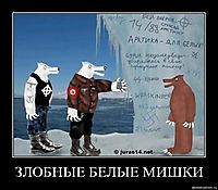 ЗЛОБНЫЕ БЕЛЫЕ МИШКИ 