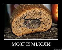 МОЗГ И МЫСЛИ 