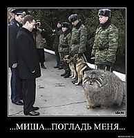 ...МИША...ПОГЛАДЬ МЕНЯ... 
