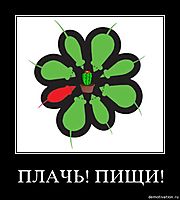 ПЛАЧЬ! ПИЩИ! 