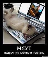 МЯУТ вздрочнул, можно и поспать