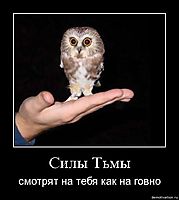 Силы Тьмы смотрят на тебя как на говно
