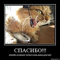 СПАСИБО!!! спасибо за звонок! он был очень важен для нас!