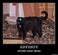 КИТИКЕТ китикет машт флоу