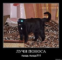 ЛУЧИ ПОНОСА пыщь пыщь!!11
