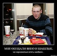 МНЕ ОБЕЩАЛИ ВИНО И ШАШЛЫК. но черножопые опять наебали...