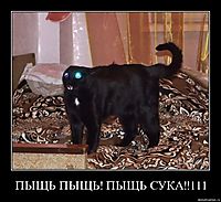 ПЫЩЬ ПЫЩЬ! ПЫЩЬ СУКА!!111 