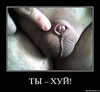 ТЫ – ХУЙ! 