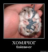 ХОМЯЧОГ бойевичог