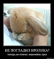 НЕ ПОГЛАДИЛ КРОЛИКА? теперь он плачет. извиняйся, сука