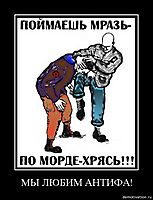 МЫ ЛЮБИМ АНТИФА! 