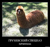 ГРУЗИНСКИЙ СПЕЦНАЗ хуйпроссышь