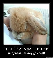 НЕ ПОКАЗАЛА СИСЬКИ ты довела заеньку до слез!!!