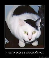 У НЕГО ТОЖЕ БЫЛ СВОЙ КОТ 