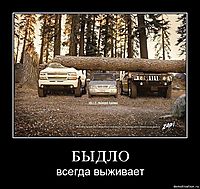 БЫДЛО всегда выживает