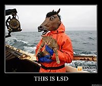 THIS IS LSD 