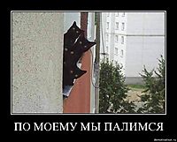 ПО МОЕМУ МЫ ПАЛИМСЯ 