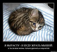 Я ВЫРАСТУ - И БУДУ ЖРАТЬ МЫШЕЙ. а ты за всю жизнь только дрочить и научился