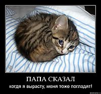 ПАПА СКАЗАЛ когдя я вырасту, меня тоже погладят!