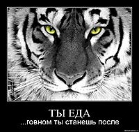 ТЫ ЕДА ...говном ты станешь после