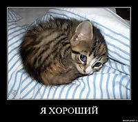 Я ХОРОШИЙ 