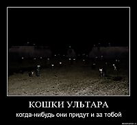 КОШКИ УЛЬТАРА когда-нибудь они придут и за тобой