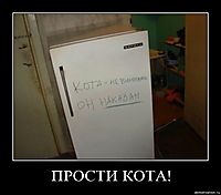 ПРОСТИ КОТА! 