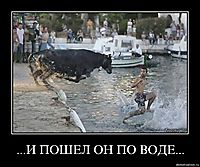 ...И ПОШЕЛ ОН ПО ВОДЕ... 
