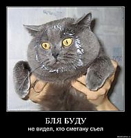 БЛЯ БУДУ не видел, кто сметану съел