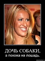 ДОЧЬ СОБАКИ, а похожа на лошадь.