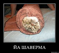 ЙА ШАВЕРМА 