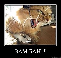 ВАМ БАН !!! 