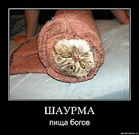 ШАУРМА пища богов