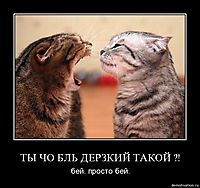 ТЫ ЧО БЛЬ ДЕРЗКИЙ ТАКОЙ ?! бей. просто бей.