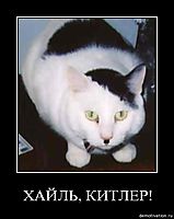ХАЙЛЬ, КИТЛЕР! 