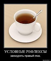 УСЛОВНЫЕ РЕФЛЕКСЫ