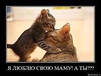Я ЛЮБЛЮ СВОЮ МАМУ! А ТЫ??? 