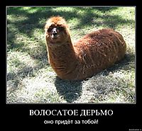 ВОЛОСАТОЕ ДЕРЬМО оно придёт за тобой!