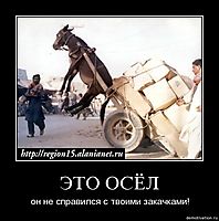ЭТО ОСЁЛ он не справился с твоими закачками!