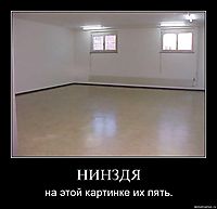 НИНЗДЯ на этой картинке их пять.