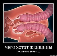 ЧЕГО ХОТЯТ ЖЕНЩИНЫ уж мы-то знаем...